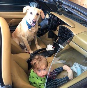 Meet your Posher, Sherry